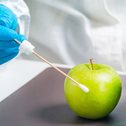 badania chemiczne z wykorzystaniem jabłka